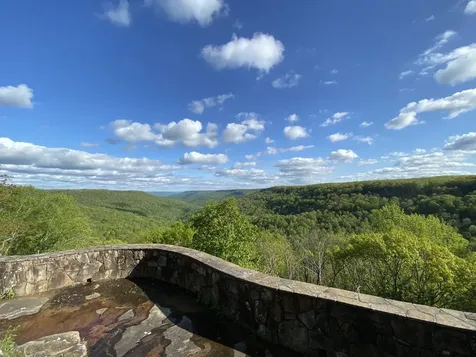 2451 Clifftops Avenue Monteagle TN 37356