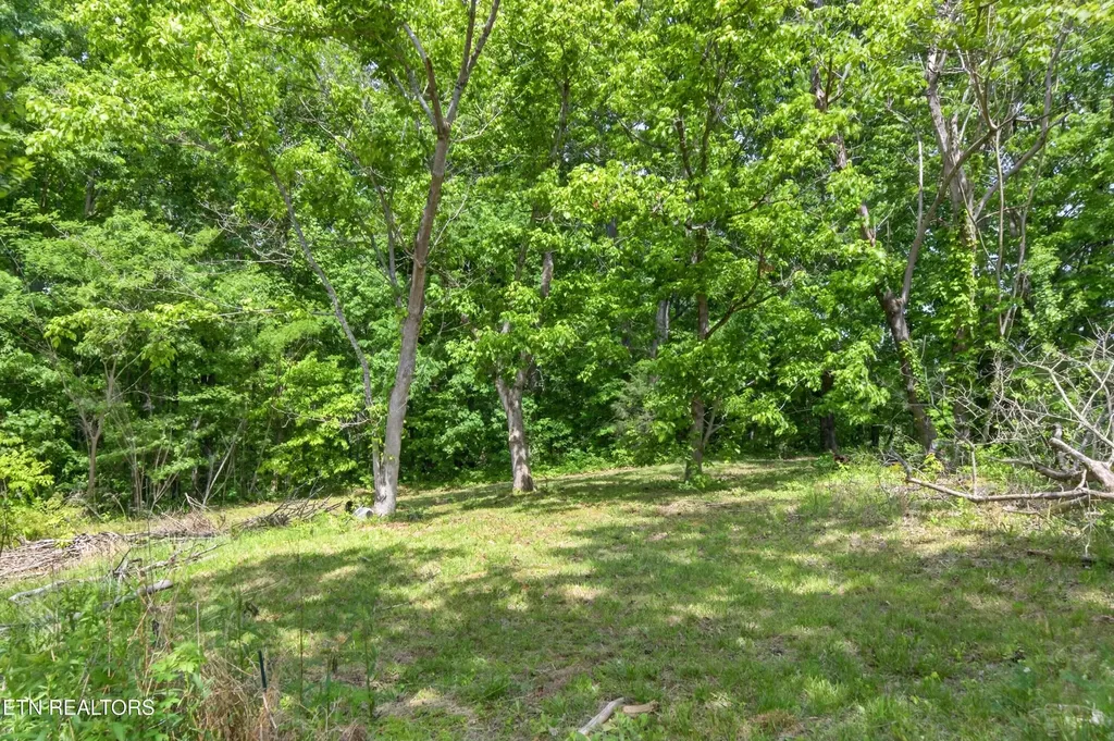 1161 Charlie Doss Road Jamestown TN 38556