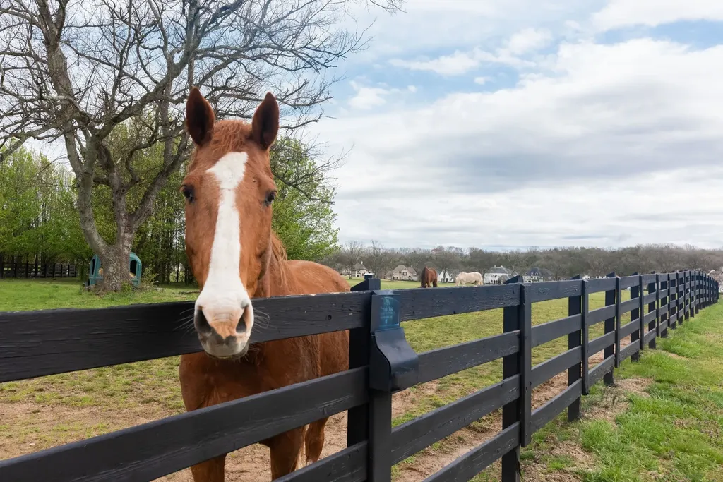 5009 Native Pony Trail College Grove TN 37046