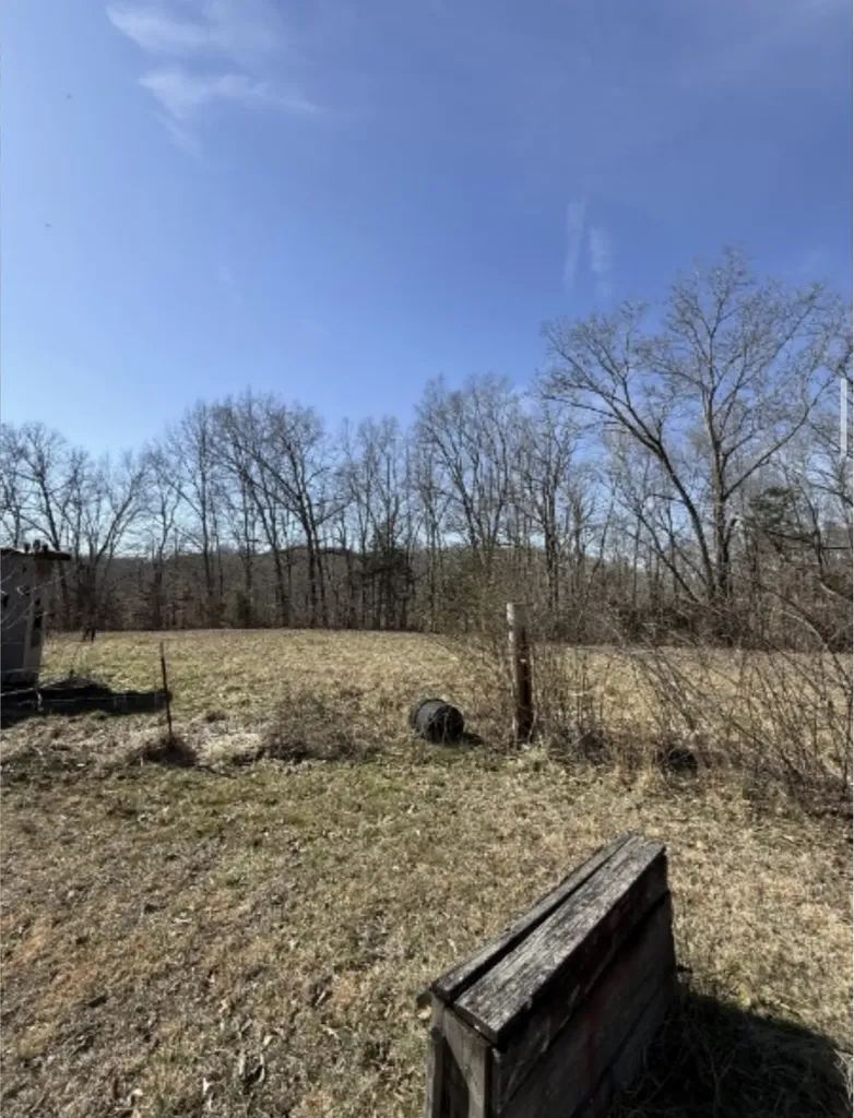 201 Timberline Acres Drive Manchester TN 37355