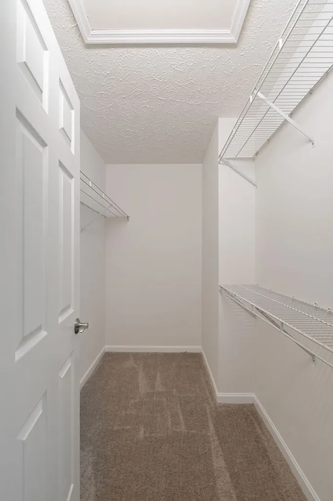 908 Celeste Court Mount Juliet TN 37122