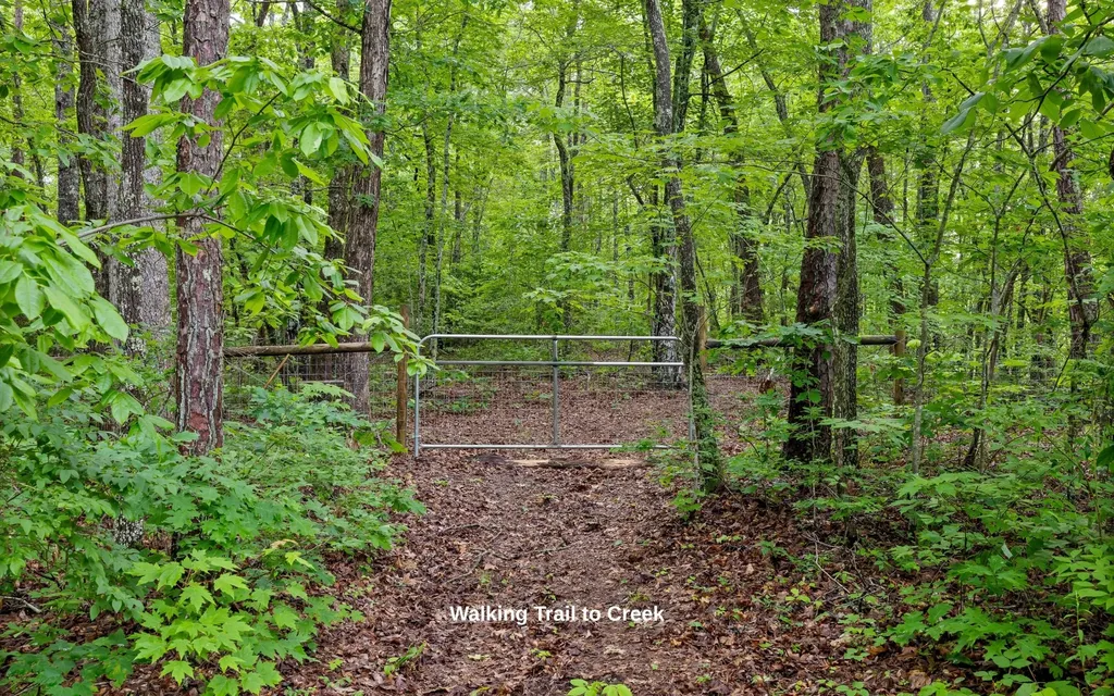 266 Beaten Path Road, E Signal Mountain TN 37377
