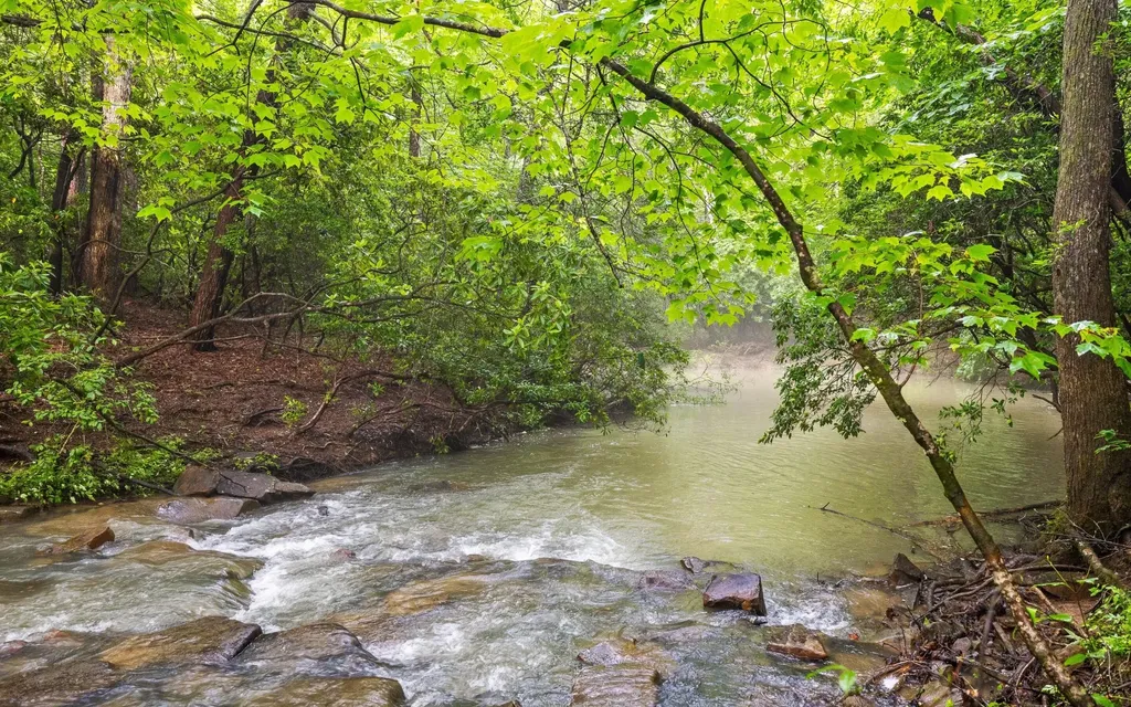 266 Beaten Path Road, E Signal Mountain TN 37377