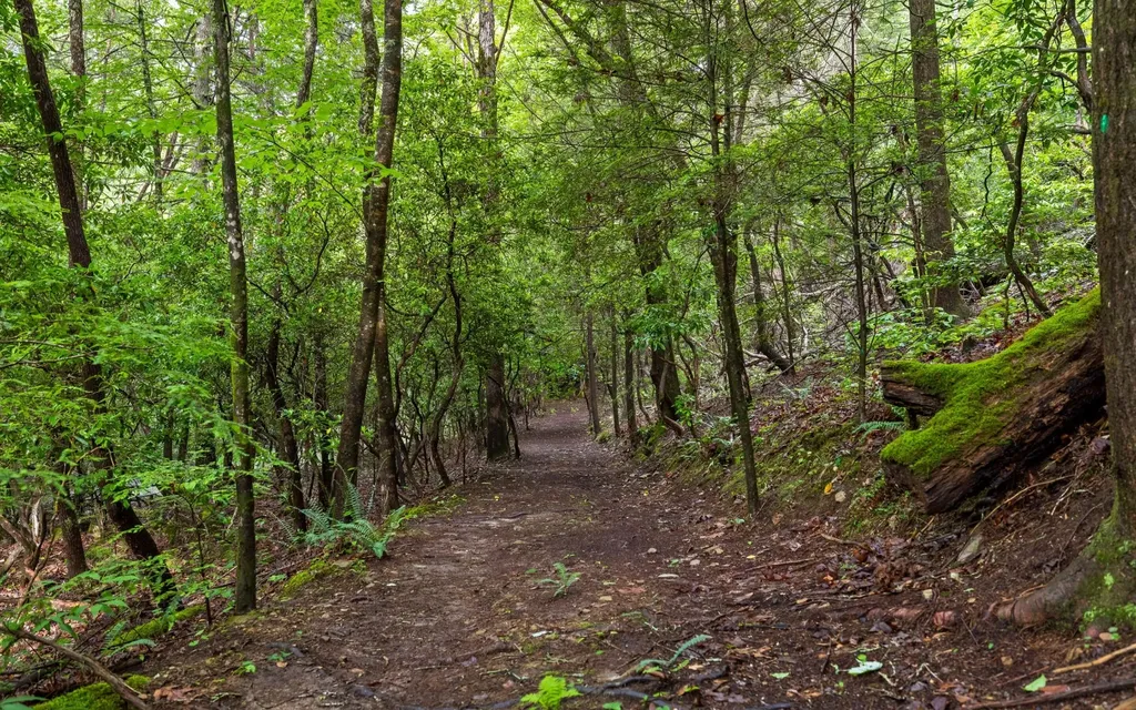 266 Beaten Path Road, E Signal Mountain TN 37377