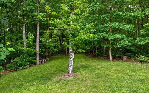 266 Beaten Path Road, E Signal Mountain TN 37377