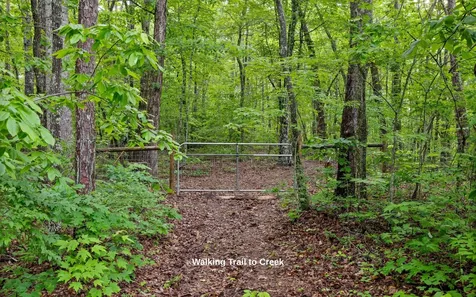 266 Beaten Path Road, E Signal Mountain TN 37377