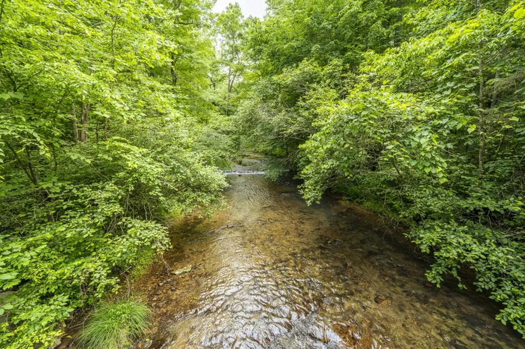 0 Mantey Road Waynesboro TN 38485