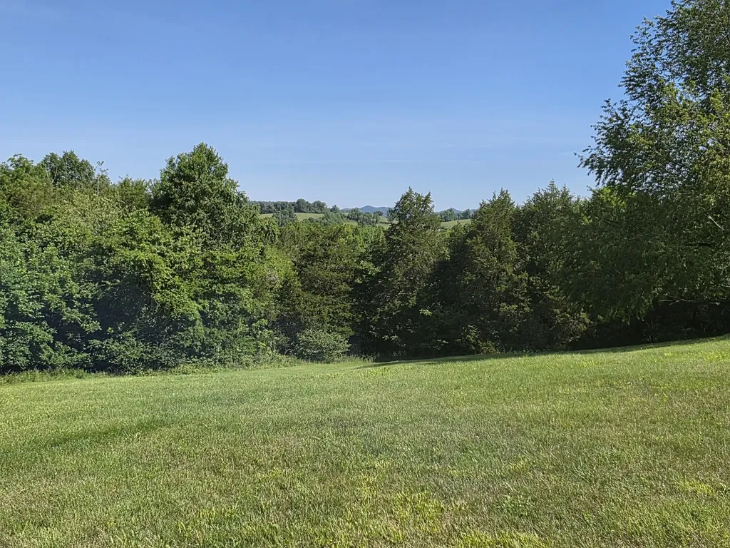 4 Lewis James Lane Riddleton TN 37151