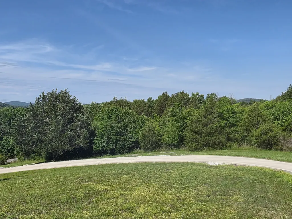 4 Lewis James Lane Riddleton TN 37151