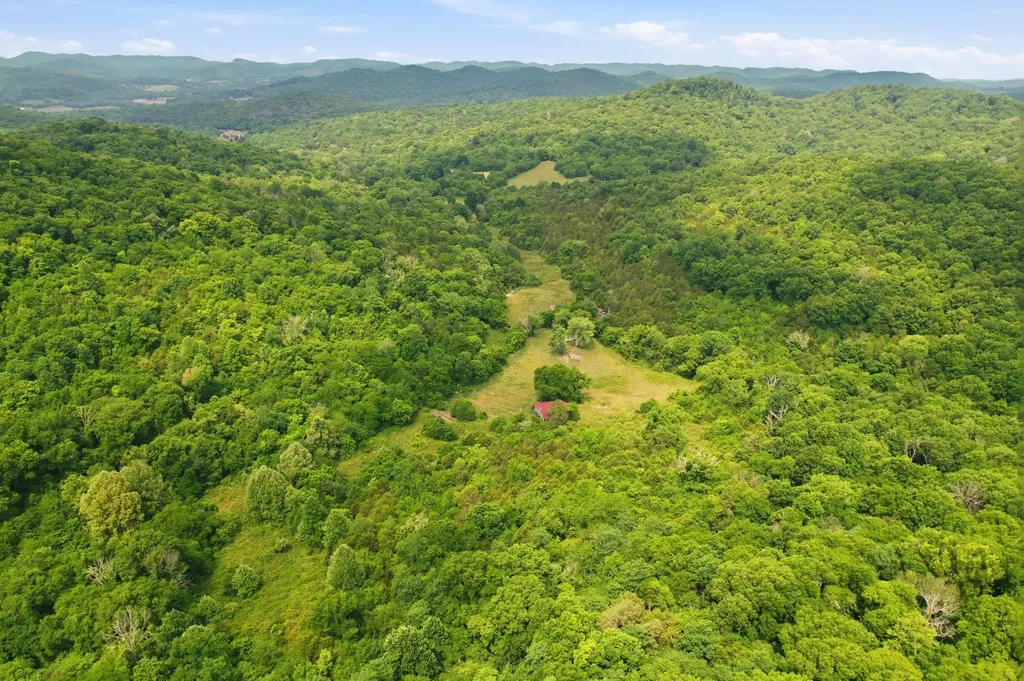 1780 Chumley Hollow Road Watertown TN 37184