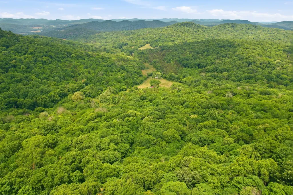 1780 Chumley Hollow Road Watertown TN 37184