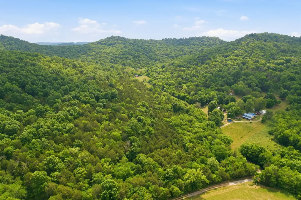 1780 Chumley Hollow Road Watertown TN 37184