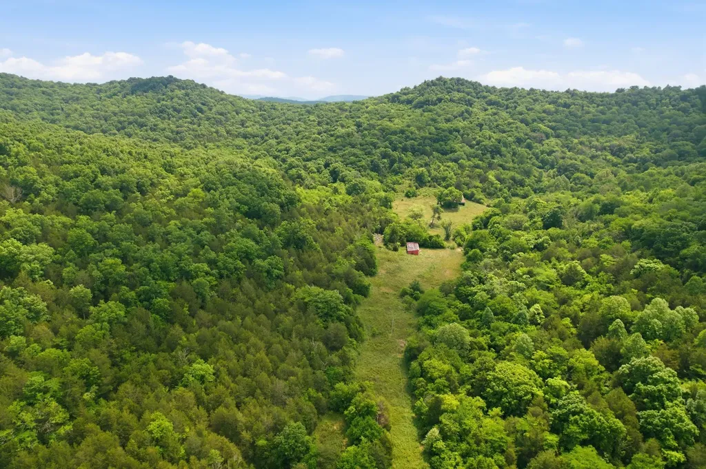 1780 Chumley Hollow Road Watertown TN 37184