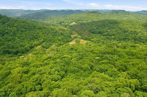 1780 Chumley Hollow Road Watertown TN 37184