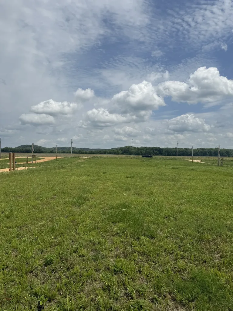 167 Hardin Bottom River Road Clifton TN 38425