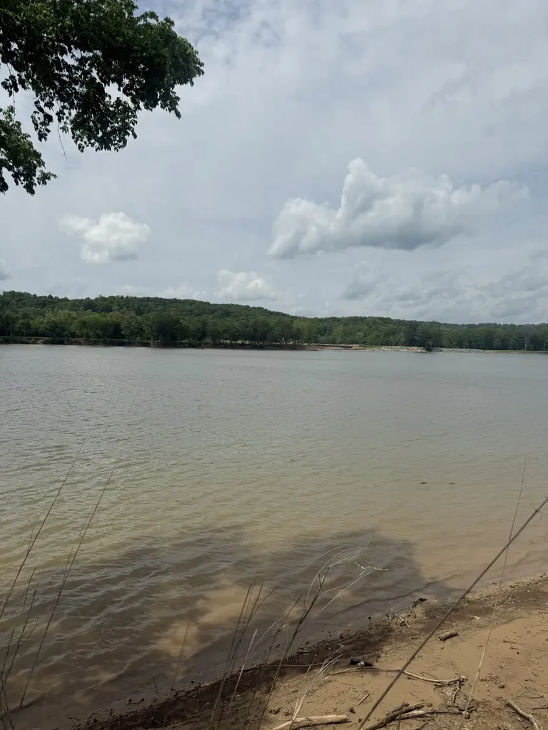 167 Hardin Bottom River Road Clifton TN 38425