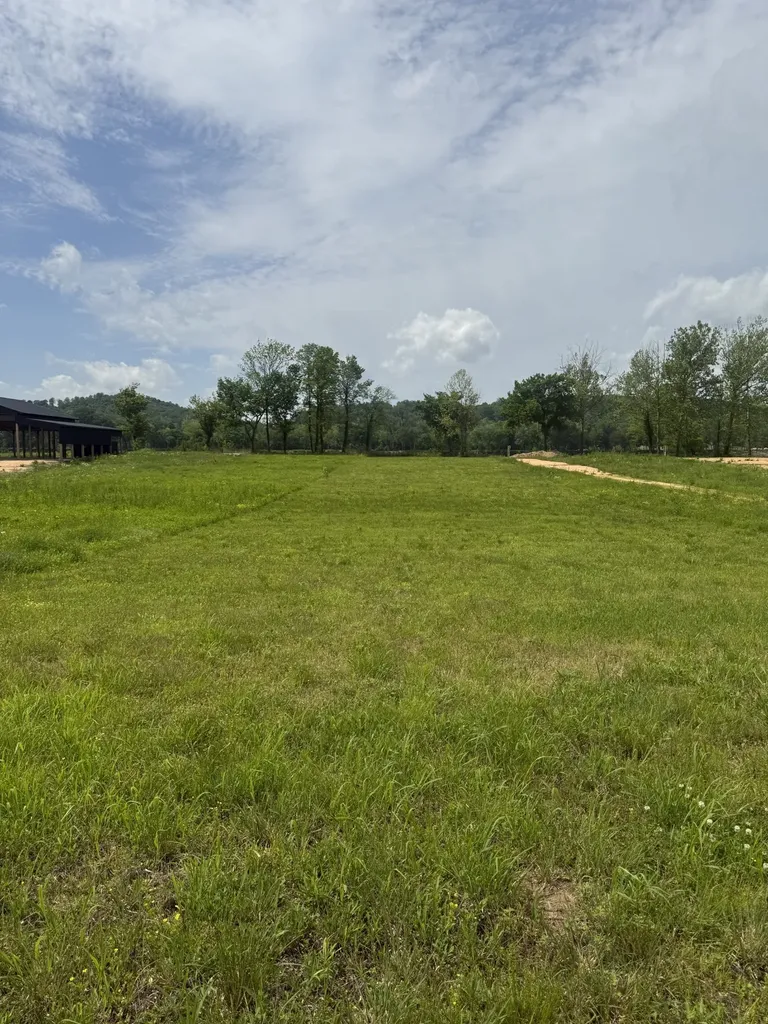 167 Hardin Bottom River Road Clifton TN 38425