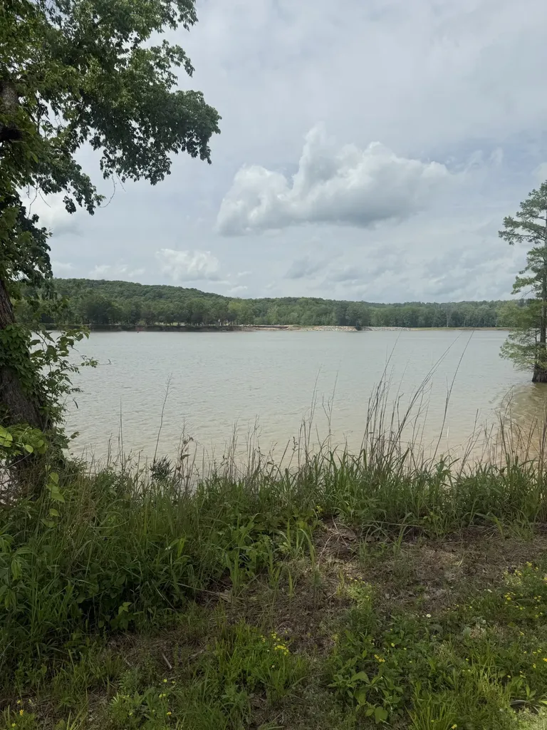 167 Hardin Bottom River Road Clifton TN 38425