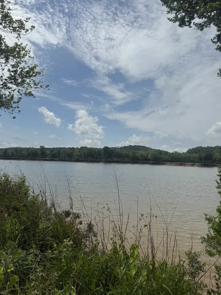 167 Hardin Bottom River Road Clifton TN 38425