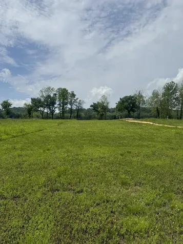 167 Hardin Bottom River Road Clifton TN 38425