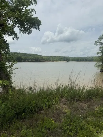167 Hardin Bottom River Road Clifton TN 38425