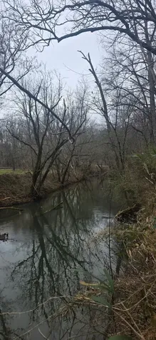 5463 Smiley Hollow Road Goodlettsville TN 37072