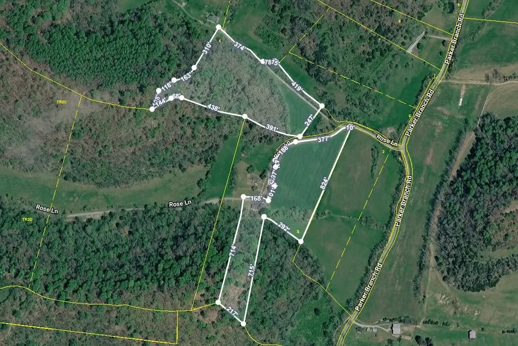 239 Rose Lane Dixon Springs TN 37057