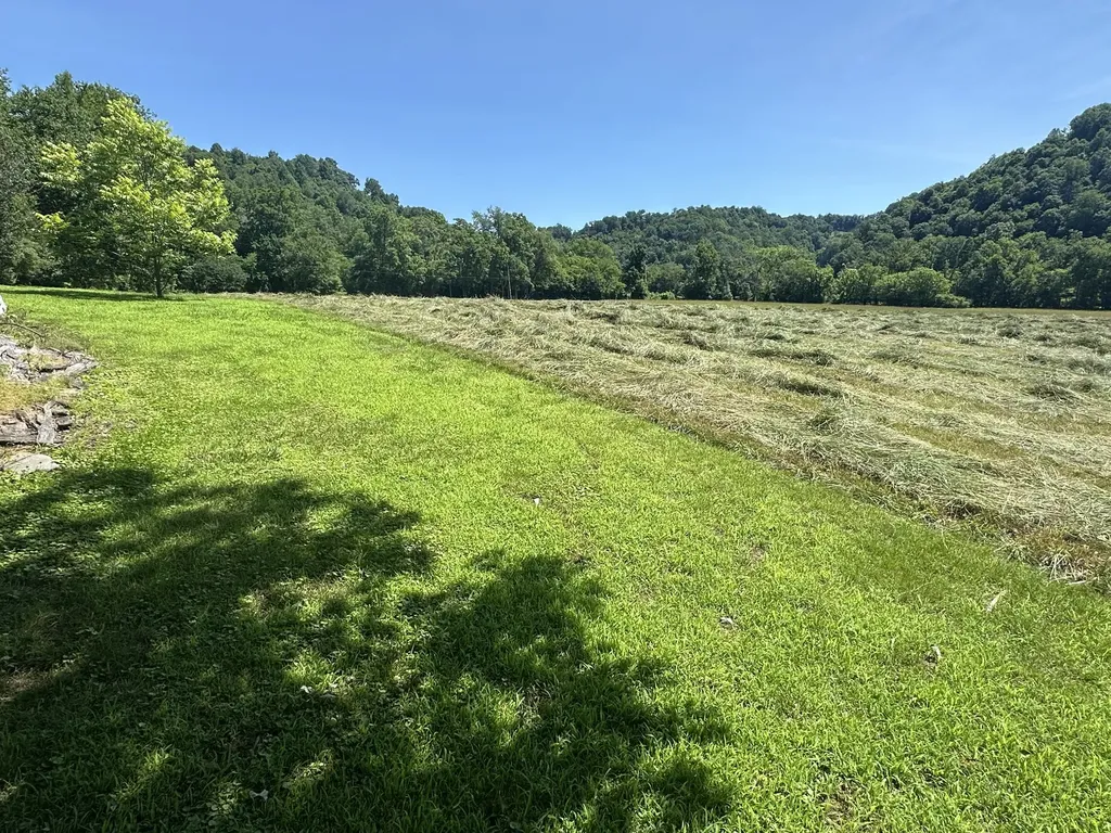 239 Rose Lane Dixon Springs TN 37057