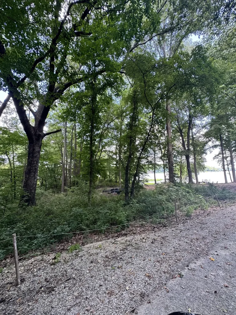 317 Mcduff Lane Camden TN 38320