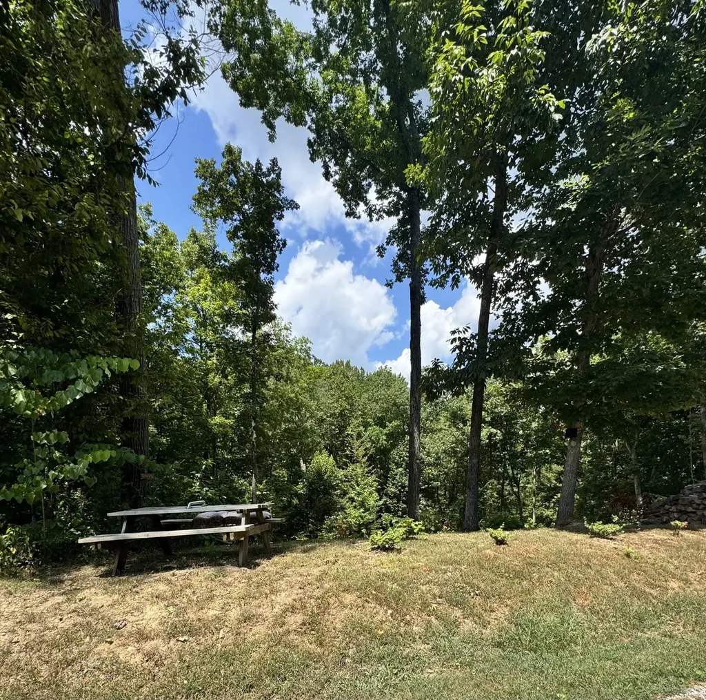 317 Mcduff Lane Camden TN 38320