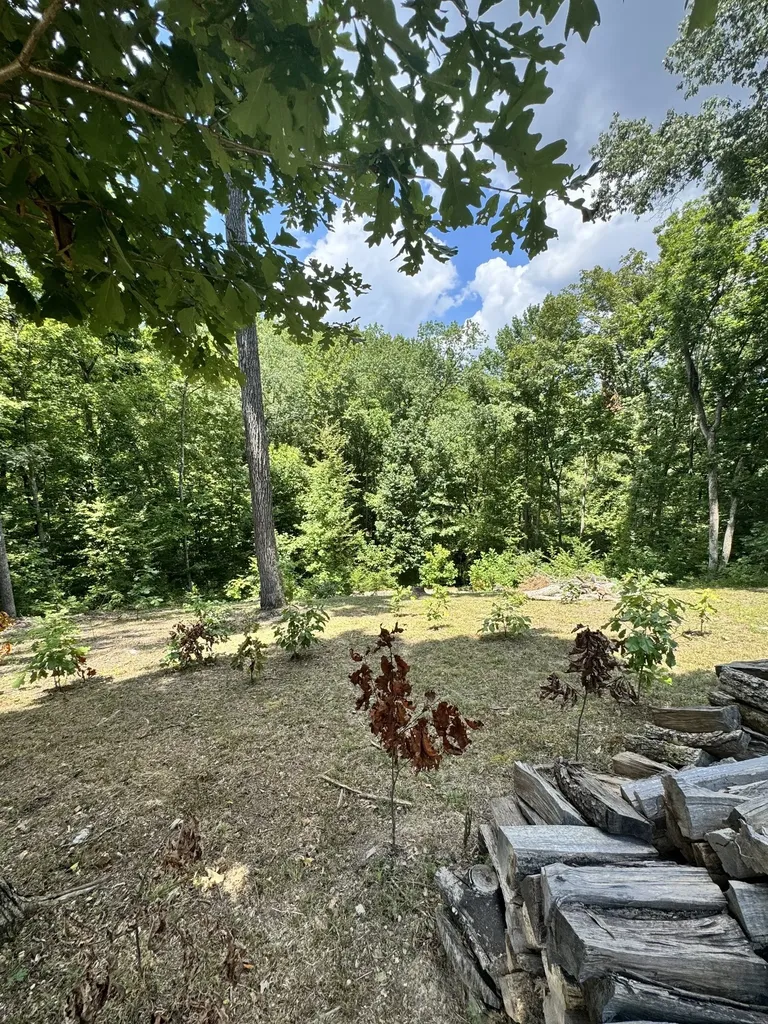 317 Mcduff Lane Camden TN 38320