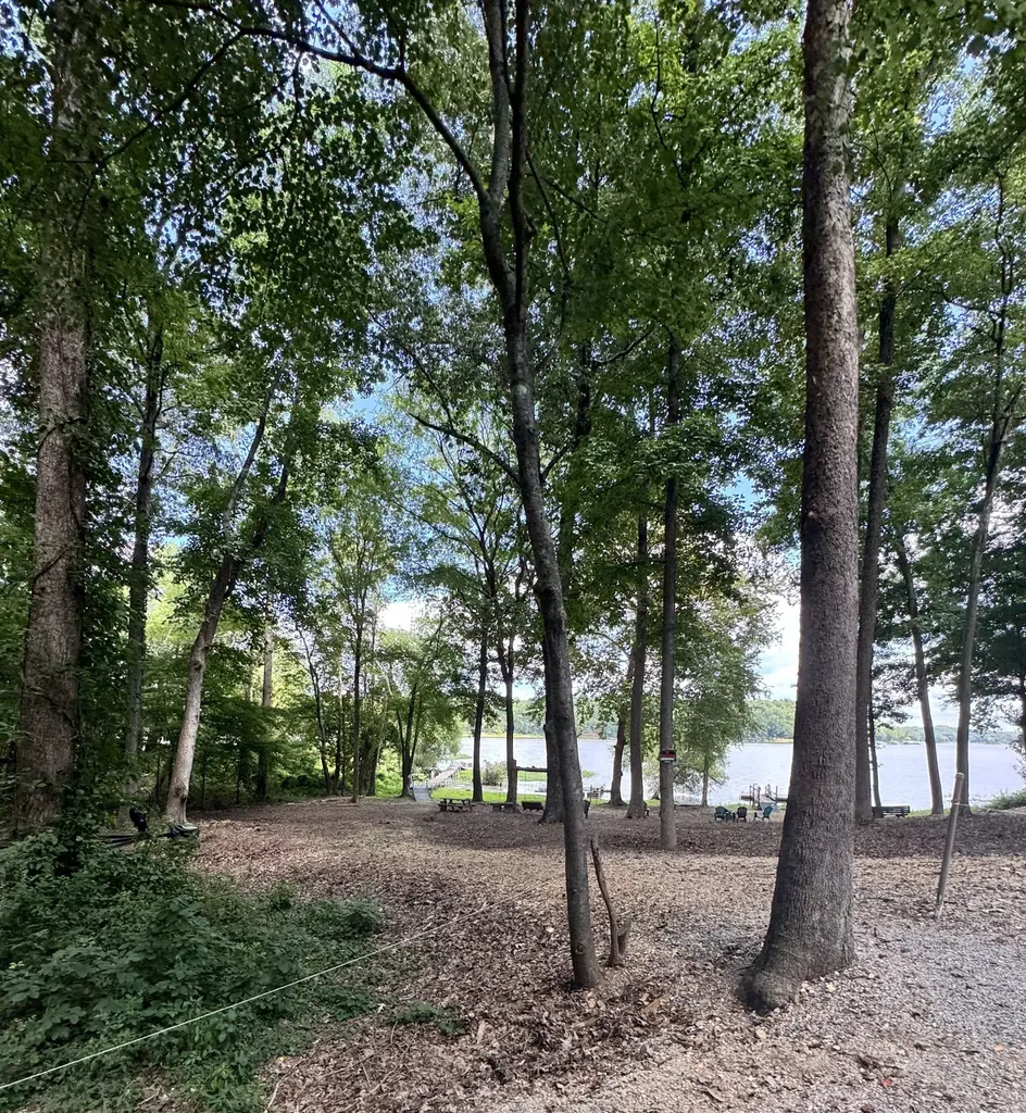 317 Mcduff Lane Camden TN 38320