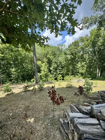 317 Mcduff Lane Camden TN 38320