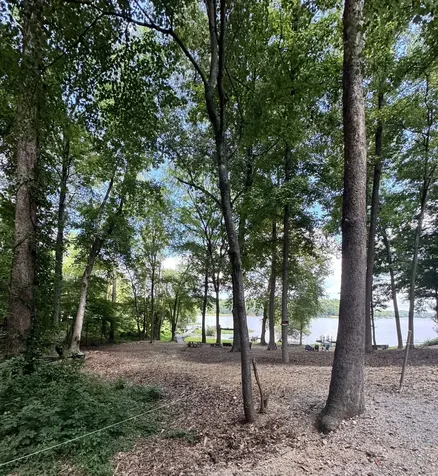 317 Mcduff Lane Camden TN 38320