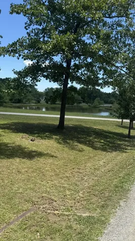 1684 Rimfire Drive Beechgrove TN 37018