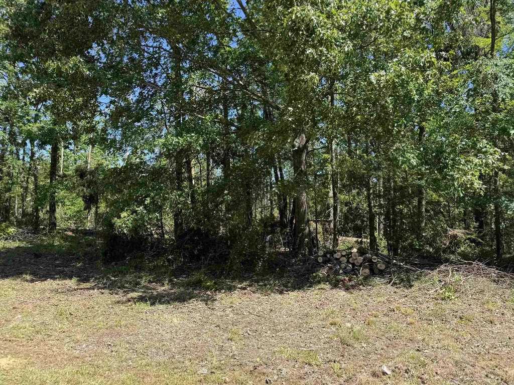 0 Clement Drive Savannah TN 38372