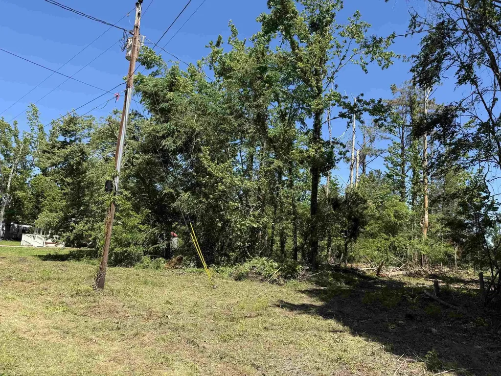 0 Clement Drive Savannah TN 38372
