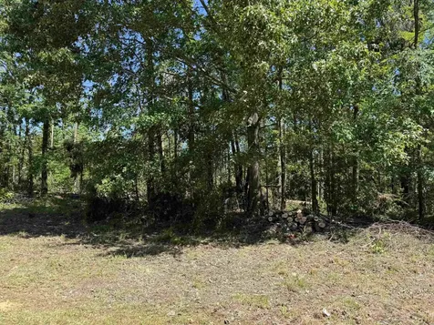 0 Clement Drive Savannah TN 38372