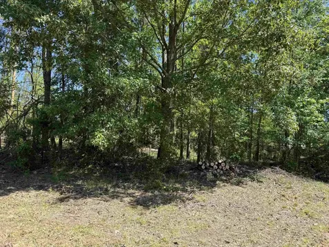 0 Clement Drive Savannah TN 38372