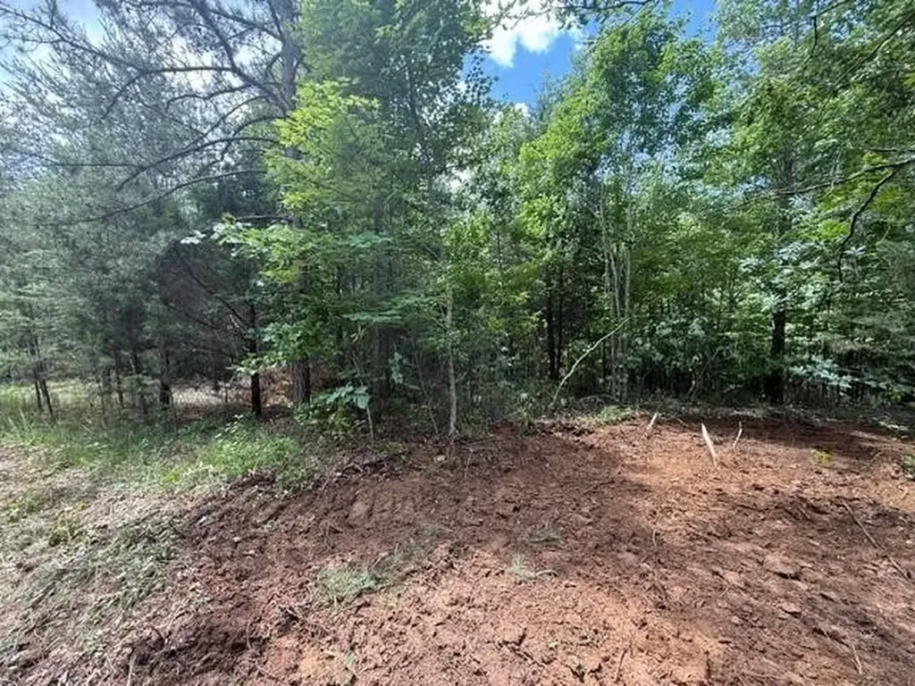10811 S Pittsburg Mountain Road South Pittsburg TN 37380