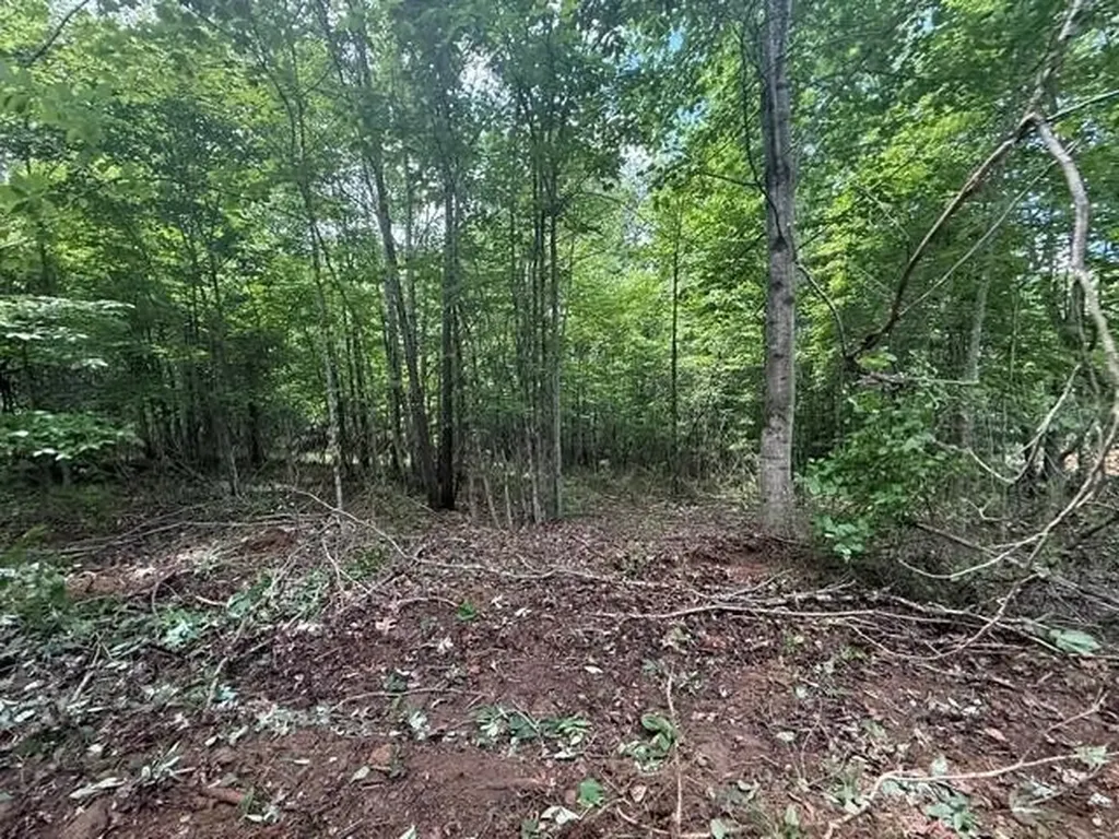 10811 S Pittsburg Mountain Road South Pittsburg TN 37380