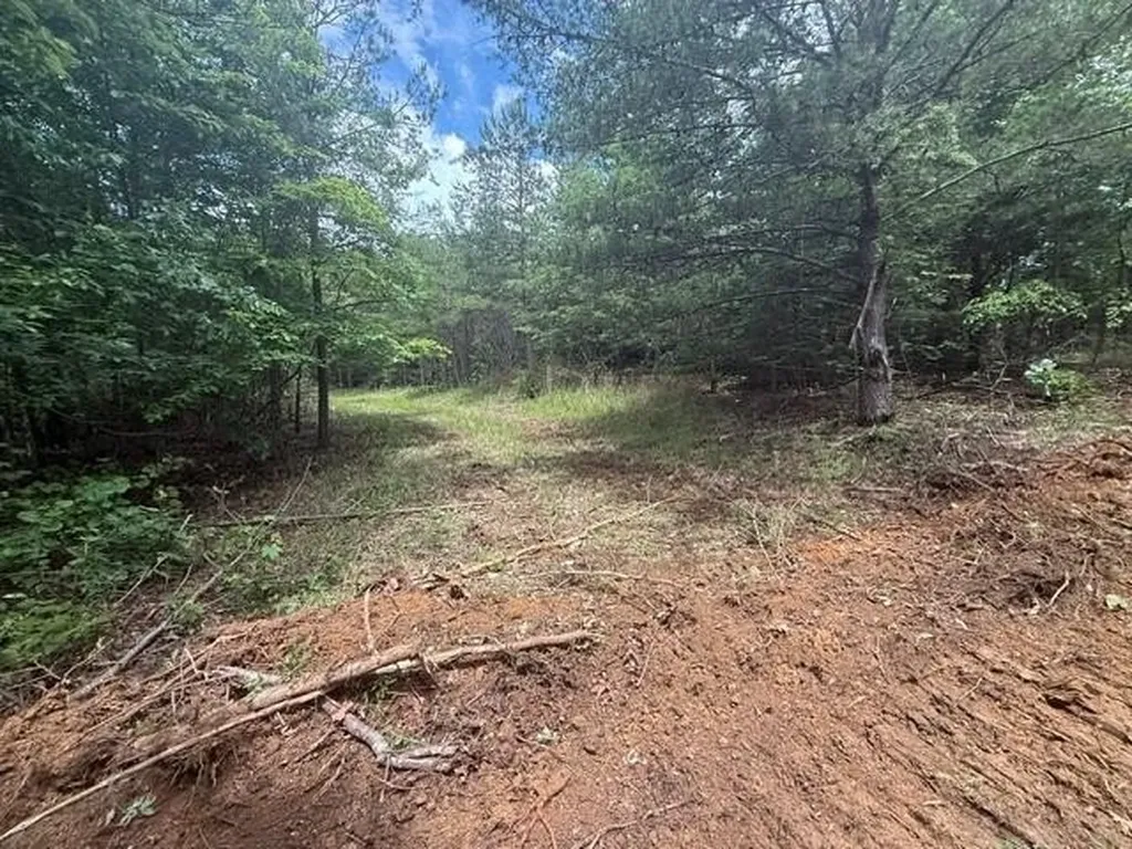 10811 S Pittsburg Mountain Road South Pittsburg TN 37380