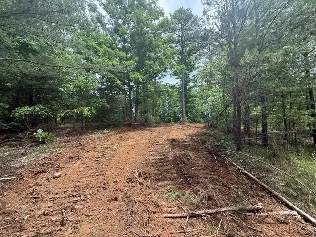 10811 S Pittsburg Mountain Road South Pittsburg TN 37380