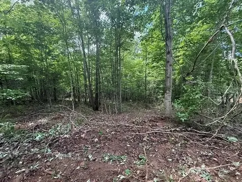 10811 S Pittsburg Mountain Road South Pittsburg TN 37380