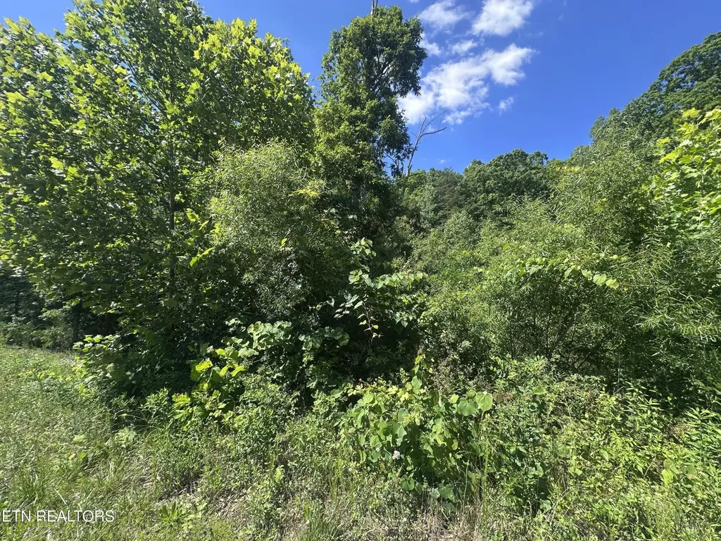 1020 Tomahawk Road Jamestown TN 38556