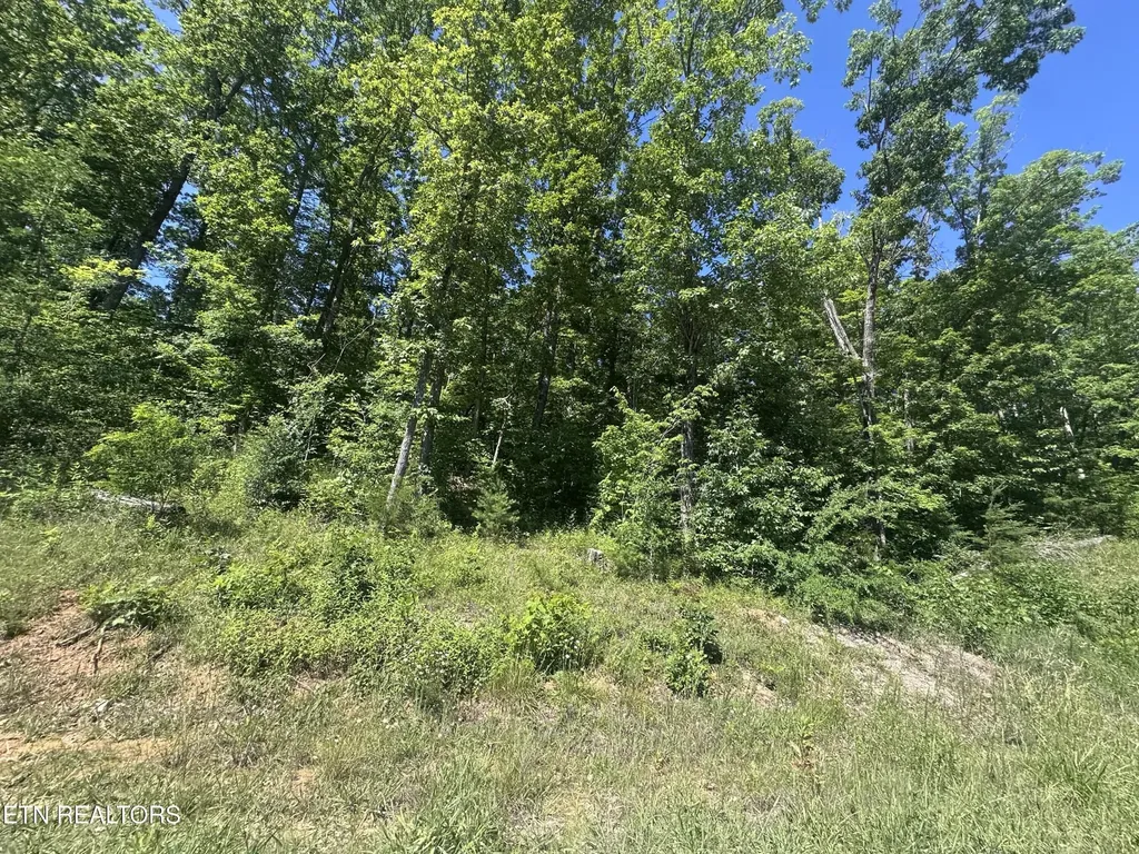 1020 Tomahawk Road Jamestown TN 38556