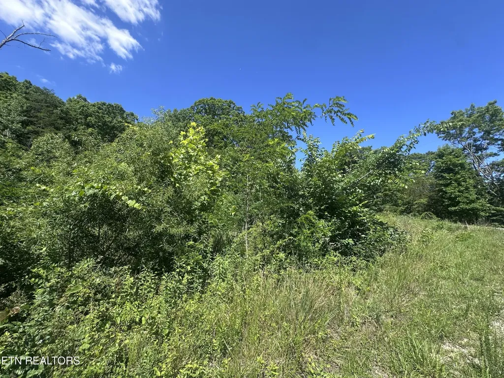 1020 Tomahawk Road Jamestown TN 38556