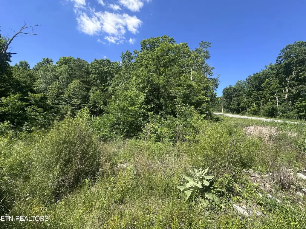 1020 Tomahawk Road Jamestown TN 38556