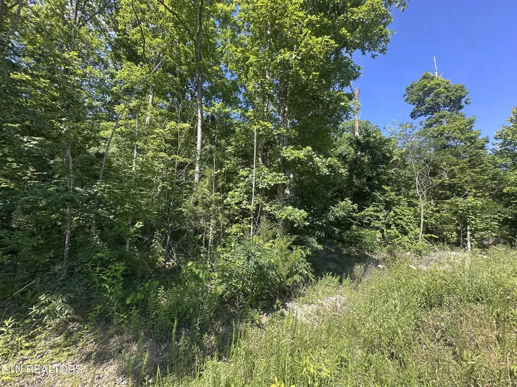 1020 Tomahawk Road Jamestown TN 38556
