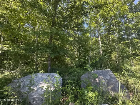 1020 Tomahawk Road Jamestown TN 38556